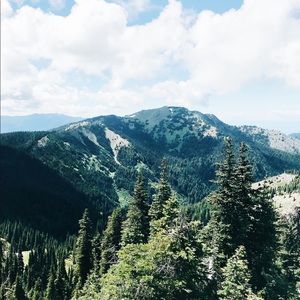 Meet your Posher, Elyse